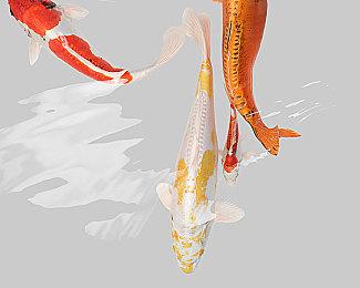 《晨昏线》官网上线！独家资讯一网打尽！